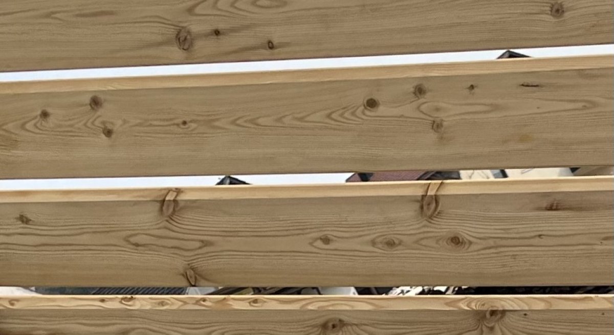 Holz für Sichtschutz Zaun Lärche 20x120mm Rhombus real